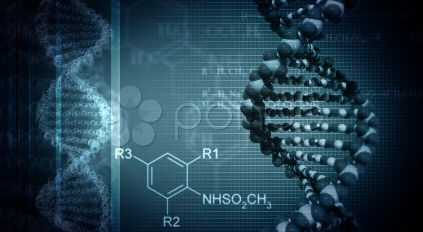 b sc in biotechnology